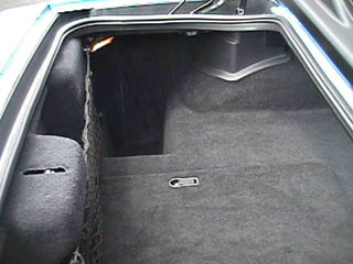 The "Trunk Area"
